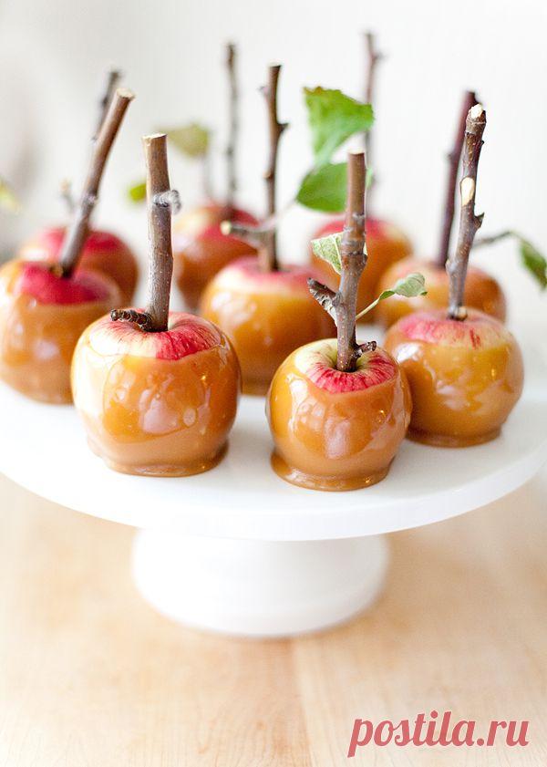 Oh the lovely things: Twig Mini Caramel Apples by Allyson Baker
