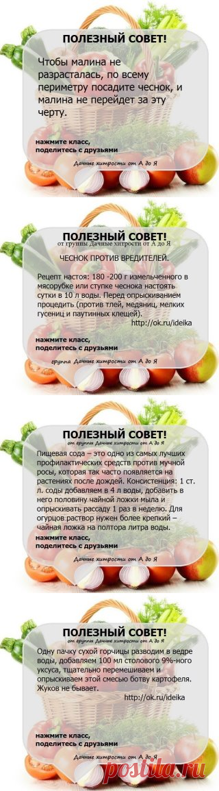 Одноклассники