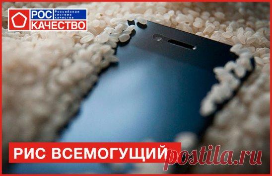 А вы знаете, что рисом можно не только накормить голодных, но и спасти с его помощью жизнь вашему любимому телефону?
Народная мудрость гласит: если твой телефон упал в воду или другую жидкость, немедленно помести его в емкость с сухим рисом! Предварительно вытри телефон сверху, достань из него SIM-карту, карту памяти и аккумулятор. Оставь устройство на сутки в рисе, и, возможно, твой гаджет послужит тебе еще!
О том, какой рис самый сухой, читайте в нашем новом исследовании:http://roskachestvo.