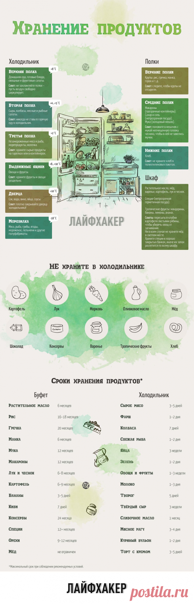 Секреты хранения продуктов в занимательной инфографике