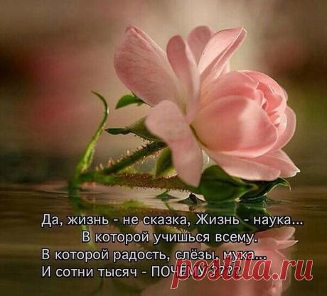 (2) Одноклассники