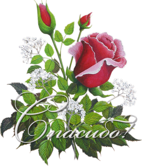 Натюрморты нежные.