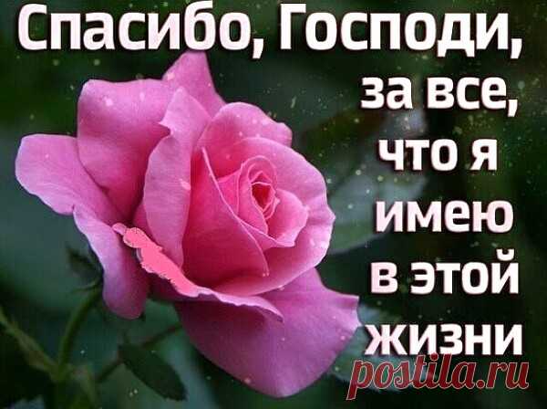 Однажды Федор Михайлович Достоевский после каторги сказал: «Я только на каторге познал себя и Бога. И я теперь уверен, что сколько человеку в жизни надо счастья, в такой же мере ему надо и несчастья, потому что он и счастья-то своего не поймет». Шестьдесят лет – хороший возраст, но об этом узнаешь только в семьдесят. Всё в сравнении. Поэтому никогда не надо говорить, что жизнь, условия жизни нехороши, потому что когда мы на самом деле доноемся до того, что попадем в другие...