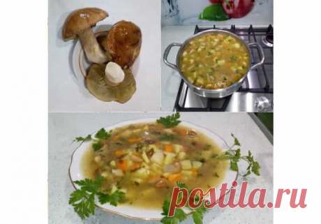 Что можно приготовить из свежих лесных грибов: 11 быстрых и вкусных рецептов