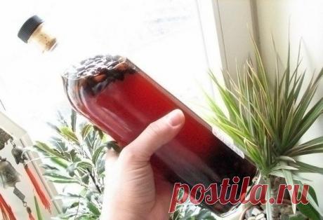 От миомы и кисты настойка из кедровых орешков / Абсолютное здоровье