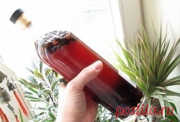 От миомы и кисты настойка из кедровых орешков / Абсолютное здоровье