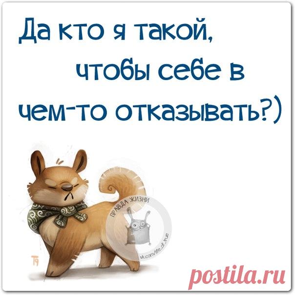 Позитивные фразочки в прикольных картинках