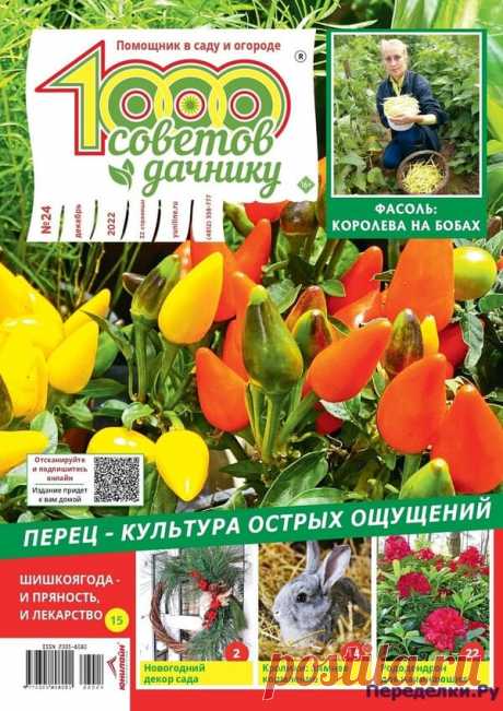 1000 советов дачнику №24 2022 * Переделки.Ру 1000 советов дачнику №24 2022 Читать журнал ОНЛАЙН