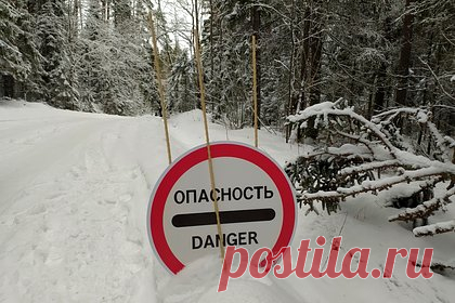 Затор на трассе М-4 в Ростовской области сократился до 30 километров. Федеральная трасса М-4 «Дон» остается заблокированной. Однако длина затора в Ростовской области сократилась до 30 километров, дорогу постепенно освобождают от снега. В ГУ МЧС разъяснили, что на участке с 940-го по 950-й километр трассы при помощи бульдозеров делают «карманы» для проезда легковушек и грейдеров.