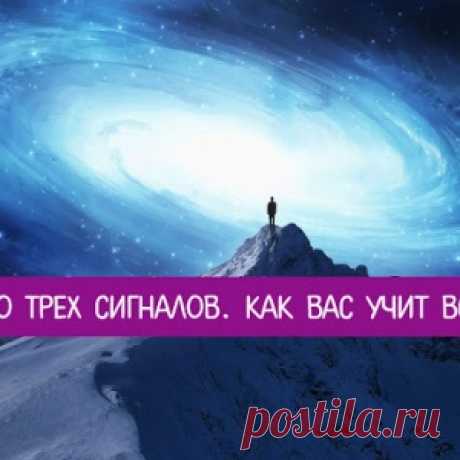 Правило трех сигналов. Как вас учит Вселенная