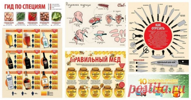 20 самых крутых шпаргалок от шеф-поваров, которые облегчат вам жизнь | Выживи сам
