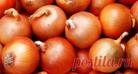 Кто выращивал лук на своём участке, тот знает, сколько досадных неожиданностей может подстерегать на пути к урожаю. И ухаживаешь за ним, и подкармливаешь, и пропалываешь - а он то желтеть начал, то в стрелку пошёл… А хочется-то вырастить крупный, здоровый и красивый лук! О маленьких секретах опытных огородников, которые помогут вам избежать больших ошибок и вырастить хороший урожай лука читайте в нашей группе 
https://www.odnoklassniki.ru/club7dach/topic/62746145623022
•••