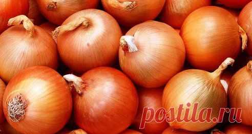 Кто выращивал лук на своём участке, тот знает, сколько досадных неожиданностей может подстерегать на пути к урожаю. И ухаживаешь за ним, и подкармливаешь, и пропалываешь - а он то желтеть начал, то в стрелку пошёл… А хочется-то вырастить крупный, здоровый и красивый лук! О маленьких секретах опытных огородников, которые помогут вам избежать больших ошибок и вырастить хороший урожай лука читайте в нашей группе 
http://www.odnoklassniki.ru/club7dach/topic/62746145623022
•••