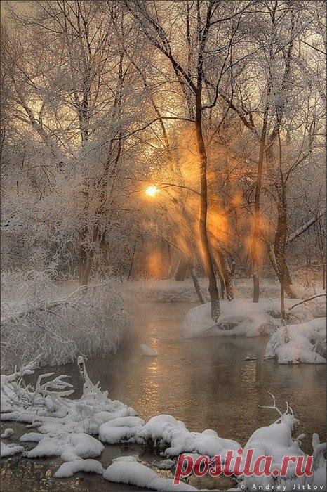 12313571_980299562031661_1517016283847951339_n.jpg (466×700)