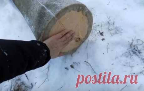 Секрет костра, который будет гореть примерно вечно / Как сэкономить