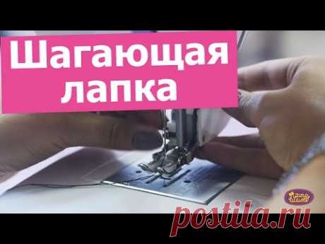 ШАГАЮЩАЯ ЛАПКА. Как установить и зачем она нужна || Хочу Шить