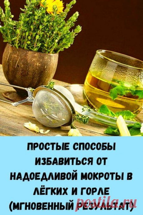 Простые способы избавиться от надоедливой мокроты в лёгких и горле (Мгновенный РЕЗУЛЬТАТ)
