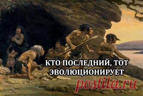 Без комментария