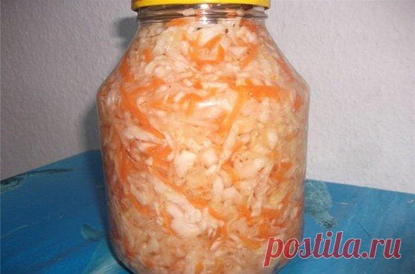 Очень вкусная квашенная капуста с медом! | ДЕШЕВЫЕ РЕЦЕПТЫ | Яндекс Дзен