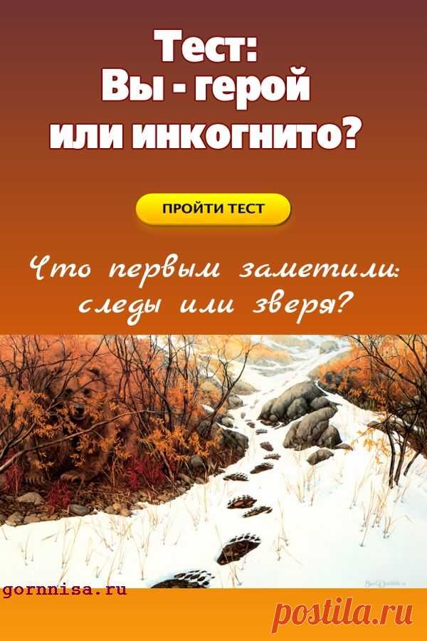 Тест: Вы герой или инкогнито? Что привлекло внимание — следы или зверь? — ГОРНИЦА