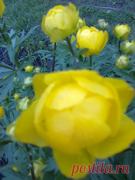 весеннее настроение