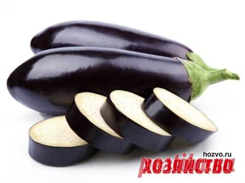 Почему горчат синенькие