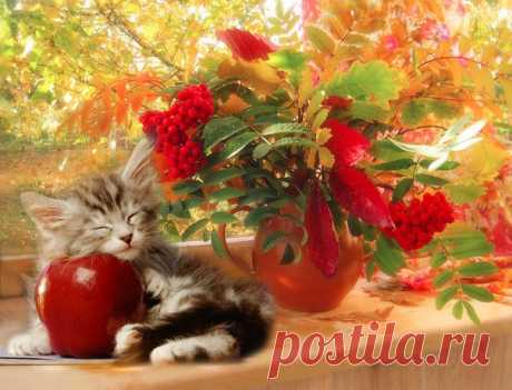 Доброе утро, друзья!❤😘