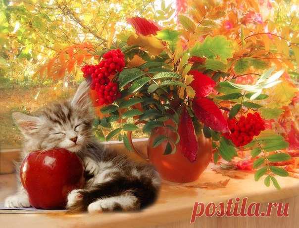 Доброе утро, друзья!❤😘