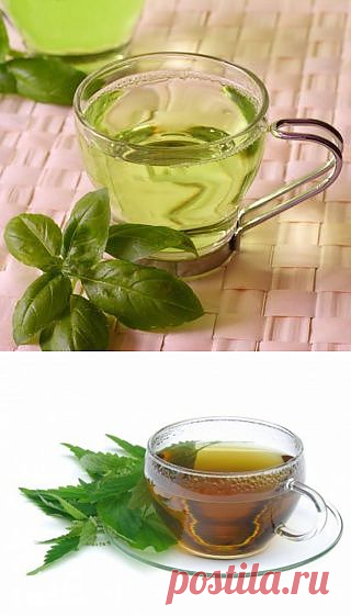 Чем полезен зеленый чай / Все для женщины