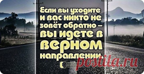 Фото пользователя Оля, Кемерово, 47 лет