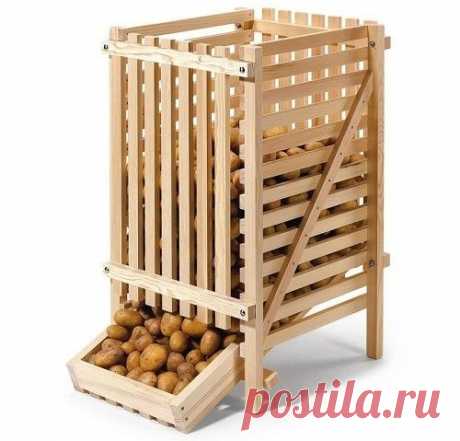 Как хранить картофель зимой — Мой дом