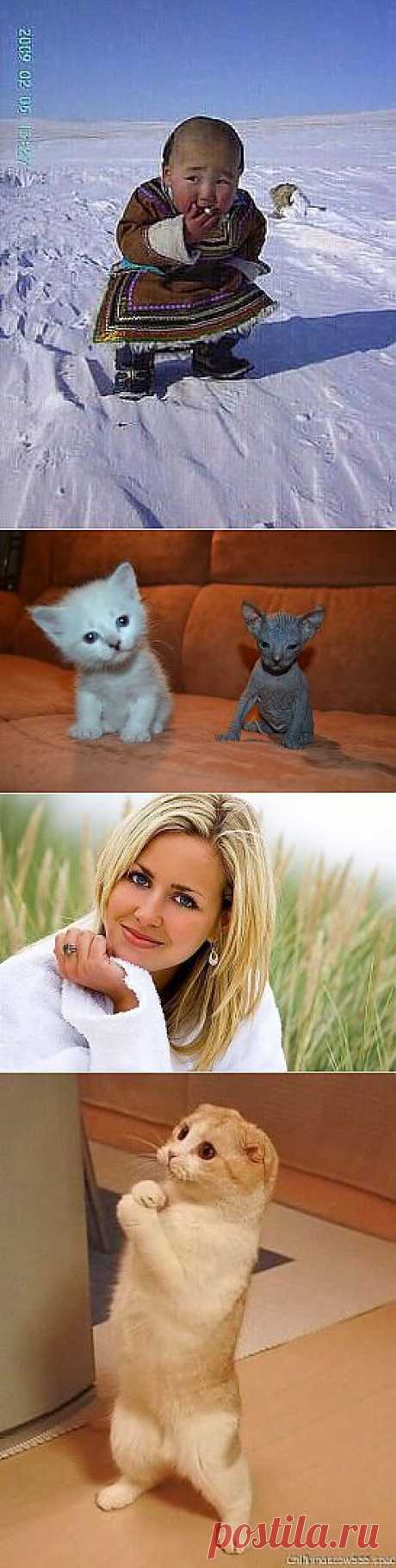 Одноклассники