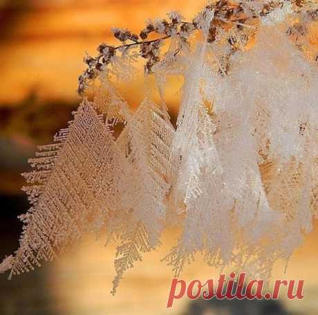 Морозные драгоценности