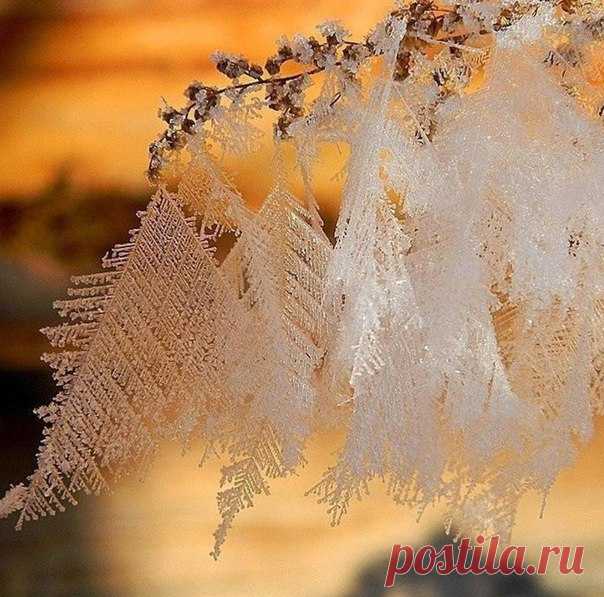 Морозные драгоценности