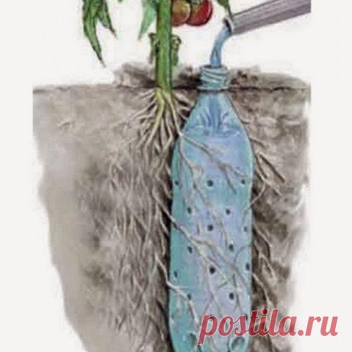 С этими советами твой сад станет лучшим в округе