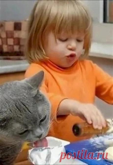 87001240.jpg (396×576)