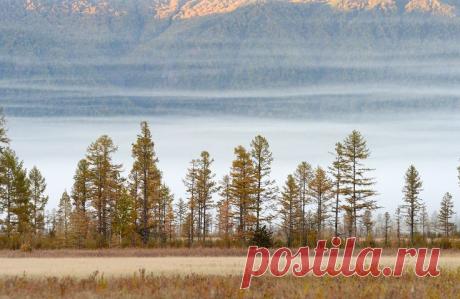 Igor Shpilenok,Russia,Kamchatka | Russia
