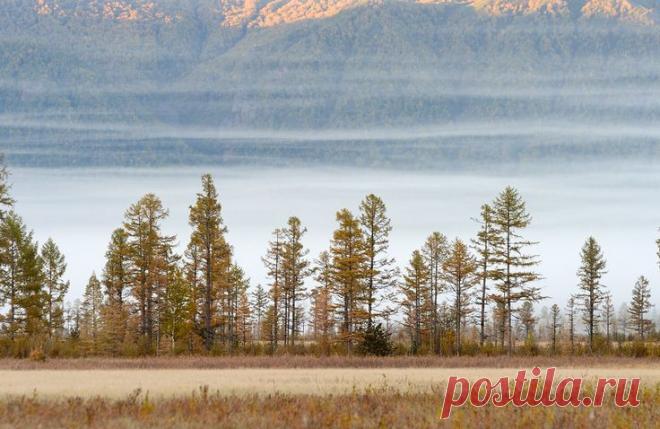 Igor Shpilenok,Russia,Kamchatka | Russia