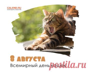 8 августа — Всемирный день кошек / Открытка дня / Журнал Calend.ru