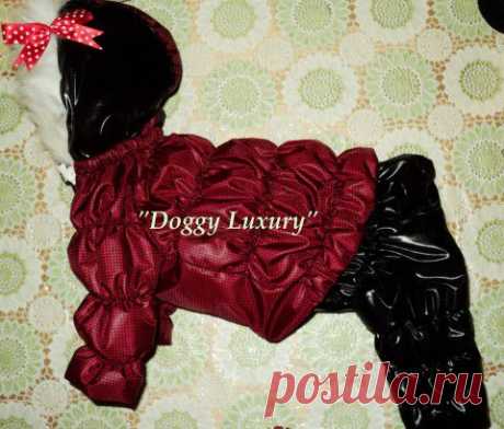 Полукомбинезон-дутик,мастер-класс | зооателье для собак&quot;Doggy Luxury&quot;