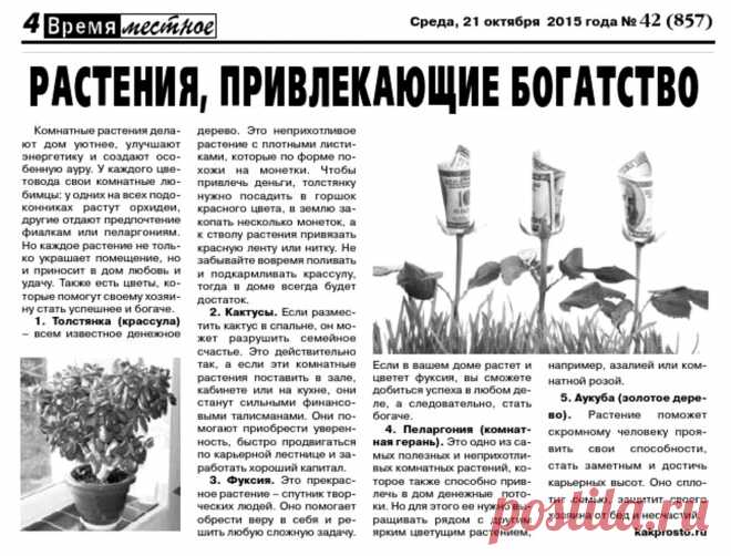 Растения привлекающие богатство
