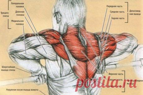 КАК РАЗДВИНУТЬ ПЛЕЧИ / Спорт Сильных!
