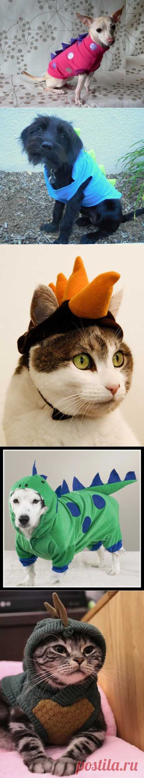 » Домашние любимцы в костюме динозавра Это интересно!