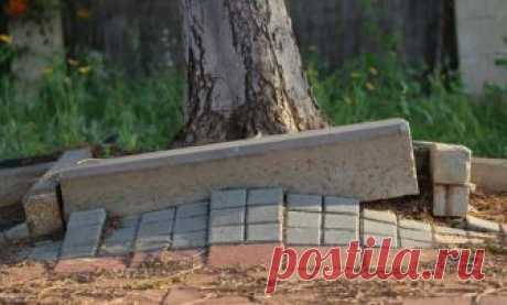 Весенние казусы с садовыми дорожками и как их избежать