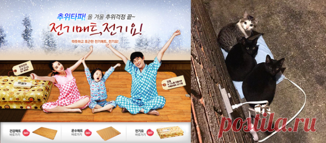 Теплое одеяло, биде и мини-вентиляторы: какой повседневной техникой пользуются в Южной Корее • НОВОСТИ В ФОТОГРАФИЯХ