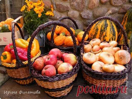 изделия из бумажной лозы