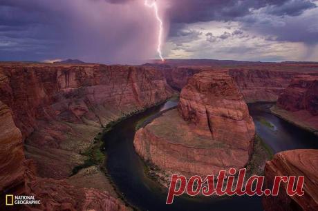 Подборка лучших фотографий, опубликованных журналом National Geographic в 2015 году