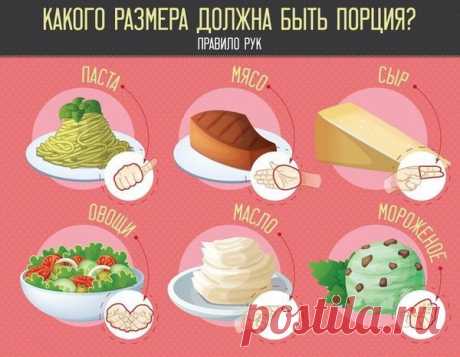 Что такое поция белков, жиров и углеводов? Правила здорового рациона | Я Могу | Яндекс Дзен