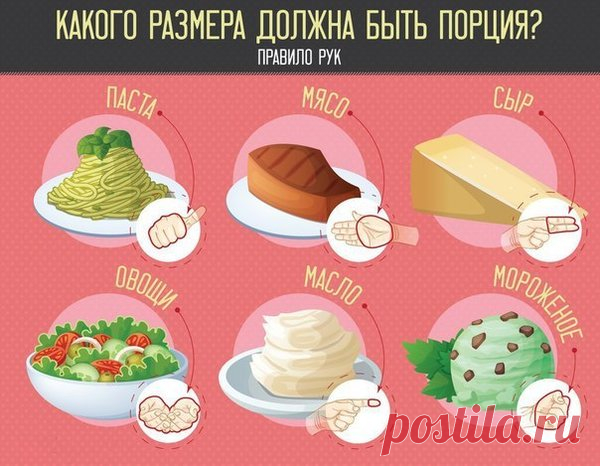 Что такое поция белков, жиров и углеводов? Правила здорового рациона | Я Могу | Яндекс Дзен