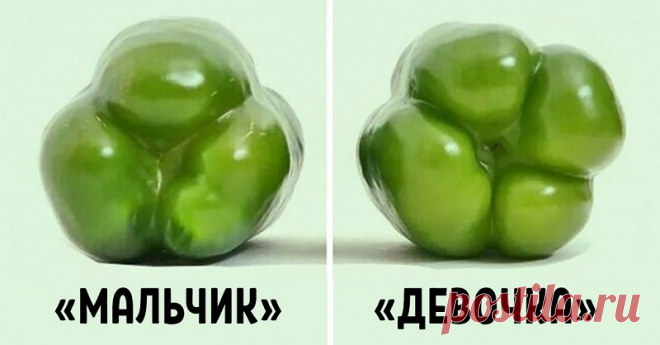 Покупай болгарский перец по этому признаку — и не прогадаешь! Совершенно разный вкус.